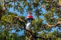 View of Saint Augustine Lighthouse behind trees at Anastasia Island in Florida Royalty Free Stock Photo