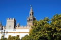 Cathedral and Giralda tower, Seville, Spain. Royalty Free Stock Photo