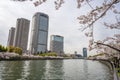 View of sakura trees and skyscrapers by the river from Sakuranomiya park in Osaka, Japan