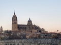 View of the Salamanca cathedral