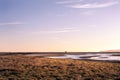 Saline lagoon in Rye Harbour, East Sussex, South of England