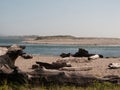 View of Salishan Spit Royalty Free Stock Photo