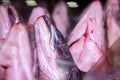 View of salmon heads in fish market Royalty Free Stock Photo