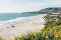 View of Salt Creek Beach, in Dana Point, Orange County, California Royalty Free Stock Photo