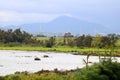 View of salt lake in Larnaca, Cyprus Royalty Free Stock Photo