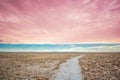 Salt landscape by Lagoon cejar in the Andesof the Altiplano of Bolivia