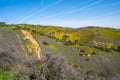 View of the San Andreas Fault along Highway 58 in California, at Carrizo Plain National Monument. Wildflowers in purple and yellow Royalty Free Stock Photo