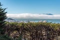 View of San Francisco Bay Area from Telegraph Hill Royalty Free Stock Photo