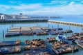 San Francisco Skyline from Pier 39 with Sea Lions, Liberty Ship from WWII and Golden Gate Bridge in Fog Royalty Free Stock Photo