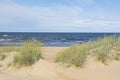 View of the sand dunes and Gulf of Bothnia on the background Royalty Free Stock Photo