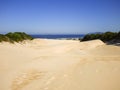 A view of sand dunes and Mocambique beach in Florianopolis, Brazil