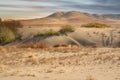 View of sand dunes and plants under the cloudy sky in Bruneau Royalty Free Stock Photo