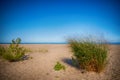 View Of Sand Dunes At Rondeau Provincial Park Beach In The Summer, With Lake Erie In The Background.