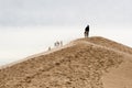 Sand Dunes at Silver Lake State Park, Michigan Royalty Free Stock Photo