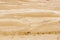 Sand Dunes at Silver Lake State Park, Michigan Royalty Free Stock Photo