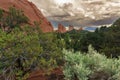 View of sandstone rock formations in Garden of the Gods, Colorado Springs, Colorado, United States Royalty Free Stock Photo