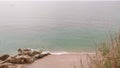 View on sandy beach and calm sea from top of cliffy mountain.