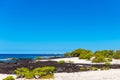 View of the sandy beach, Hawaii, USA. Copy space for text Royalty Free Stock Photo