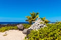 View of the sandy beach, Hawaii, USA. Copy space for text Royalty Free Stock Photo