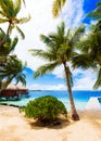 View of the sandy beach with palm trees, Bora Bora, French Polynesia. Vertical Royalty Free Stock Photo
