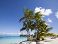 View of the sandy beach with palm trees and hammok, Bora Bora, French Polynesia Royalty Free Stock Photo