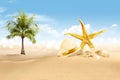 View of sandy beach with shells and palm tree Royalty Free Stock Photo