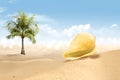 View of sandy beach with shells and palm tree Royalty Free Stock Photo