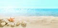 View of the sandy beach. Shells in the sand.