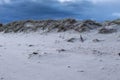 View of the sandy shore of the Parnu bay in evening. It a bay in the northeastern part of the Gulf of Livonia Gulf of Riga of