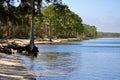 The view of the sandy shoreline in winter at Ochlockonee Bay Forida Royalty Free Stock Photo