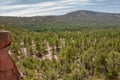 View of the Santa Fe National Forest in New Mexico outside of Los Alamos Royalty Free Stock Photo