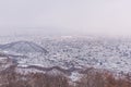 View of Sapporo city in winter