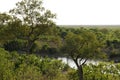 View of Savuti Channel from our Luxury camp Royalty Free Stock Photo