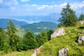 View from Schafberg Mountain to lake Attersee