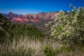 View from Schnebly Hill Road in Sedona, Arizona Royalty Free Stock Photo