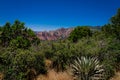 View from Schnebly Hill Road in Sedona, Arizona Royalty Free Stock Photo