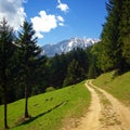 View on the Schneeberg