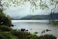 A view of Scotland`s Loch Morar framed by tree branches