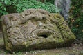 View of sculpture amidst the vegetation in the Park of Bomarzo. Royalty Free Stock Photo