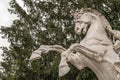 View of a sculpture of a horse. Located in Vienna Austria