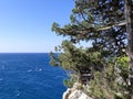 View of the sea Bay from a height. Green pines, blue sea and mountains. Seascape. Royalty Free Stock Photo