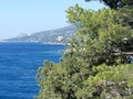 View of the sea Bay from a height. Green pines, blue sea and mountains. Seascape. Royalty Free Stock Photo