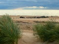 View of the sea and beach