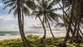 View of the sea with beach from the jungle Royalty Free Stock Photo