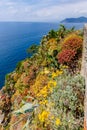 View of the sea from Corniglia, Cinque Terre, Italy Royalty Free Stock Photo