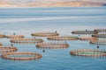 View of sea fish farm cages and fishing nets, Fish farming Commercial breeding of fish Royalty Free Stock Photo