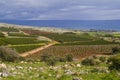 View of sea of Galilee Golan Heights and fields