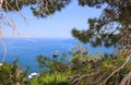 View of the sea through the pines in Monterosso, Cinque Terre,