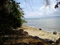 sea view and boat with tree branches