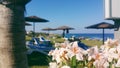 View of the sea and straw beach umbrellas with delicate pink and white flowers in the foreground, Cyprus, Greece